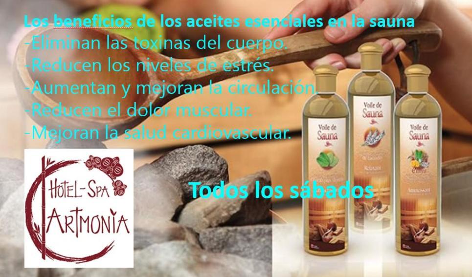 Artmonia Hotel 3*