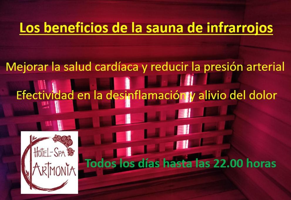 Hotel Artmonia 3*