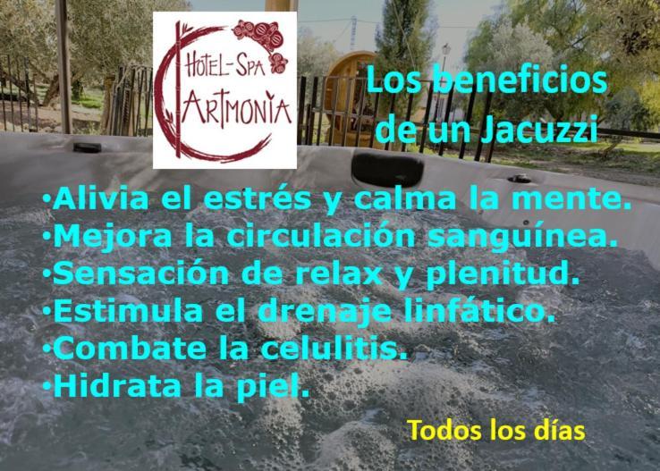 Artmonia Hotel Castalla