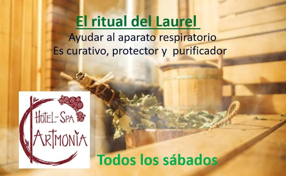 Artmonia